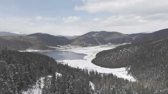 「有版权」航拍普达措国家公园雪景4K-30