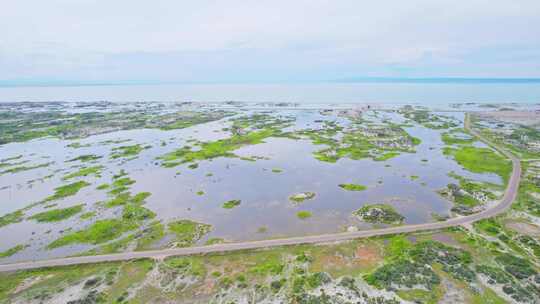 新疆北疆阿勒泰乌伦古湖湿地沼泽公路航拍