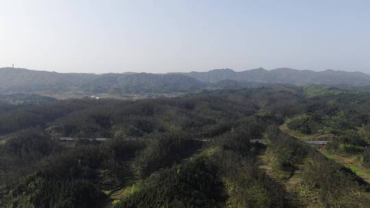 大气湖南丘陵山川森林航拍