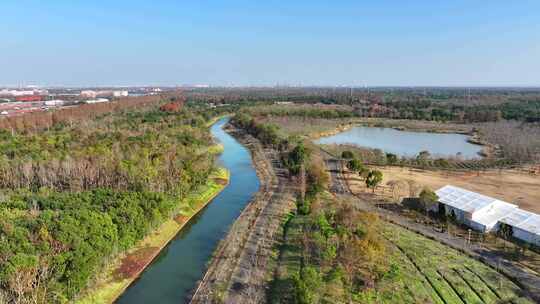 上海奉贤海湾国家森林公园  奉贤生态湿地