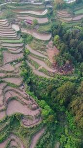 航拍大山梯田风光