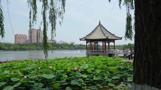 济南大明湖风景名胜区夏季快艇游过