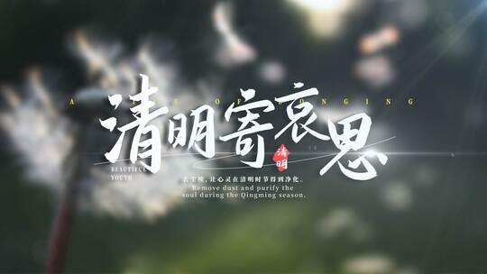极简光影清明节文字片头AE模板高清AE视频素材下载