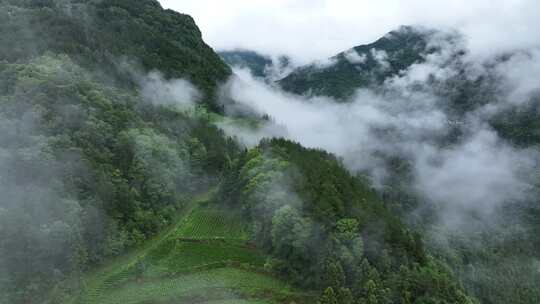 航拍雨后山村云雾 4k 超清素材