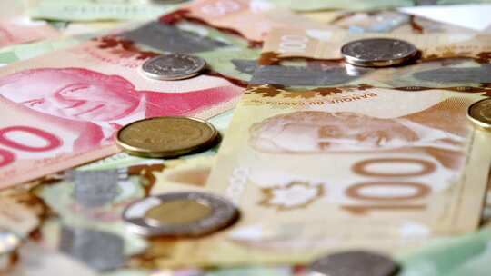 加拿大货币美元加拿大货币特写纸币