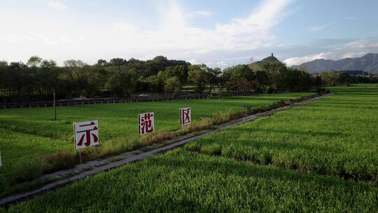 永久基本农田示范区 耕地保护 航拍