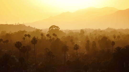 日落灯落在树梢和山脉上加州圣巴巴拉