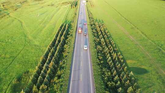 【航拍】草原天路  草原公路上行驶的汽车