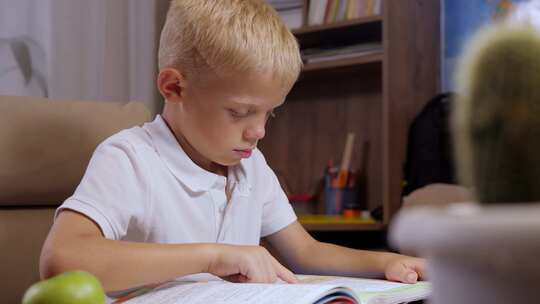 一个小男孩坐在书桌前看书视频素材模板下载