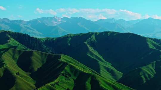 夏天的草原森林美景