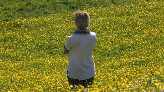 3796_一个女人凝视着一片黄色的花田