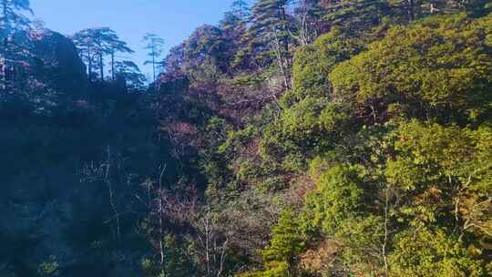 黄山风景区风景视频素材