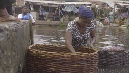 妇女在竹筐里捉鱼