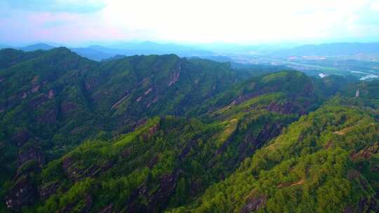 航拍武夷山大红袍母树三坑两涧岩茶茶园茶山