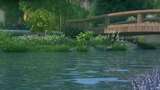 三维小桥流水 三维景观 中式景观高清在线视频素材下载