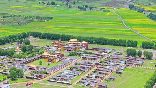 四川甘孜州道孚县惠远寺夏季草原油菜花航拍