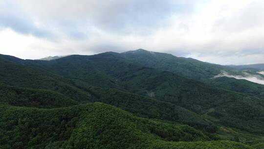 航拍东北山区，森林视频素材模板下载