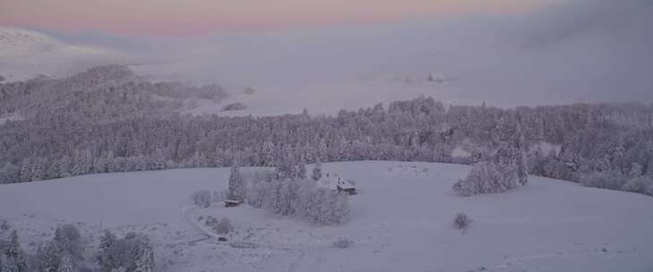 雪，房子，树，法国