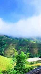 青山绿水，听雨是种解压，看雨是一种宣泄