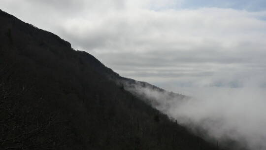 弗吉尼亚雾爬上山坡