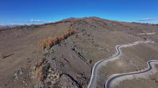 禾木盘山公路秋景