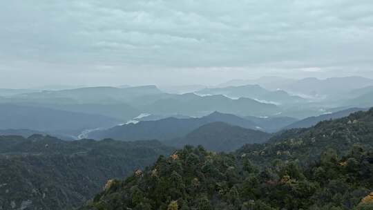 高清实拍眉山洪雅瓦屋山森林