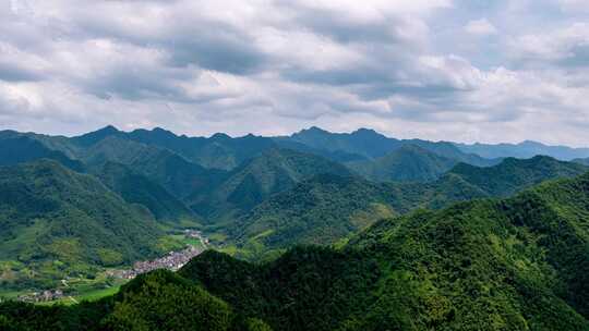 江南浙江山区竹林竹海竹山延时视频素材模板下载