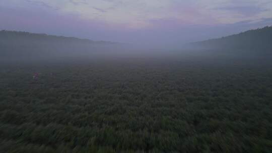 雾霭中朦胧的广袤原野