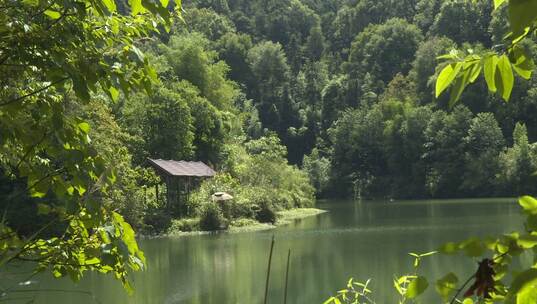 树林 江面 湖面 小屋山林里面的素材