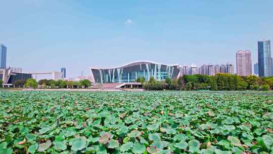 武汉_琴台大剧院