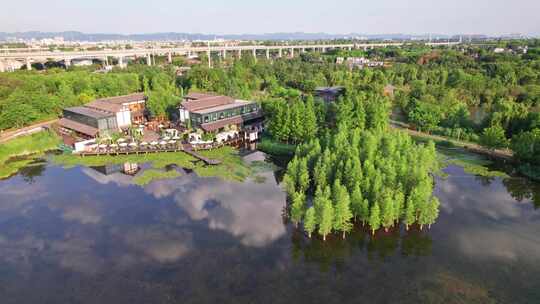 成都白鹭湾湿地公园和城市绿道白昼航拍实时