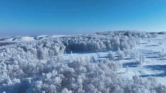 苍茫雪原上银装素裹白桦林