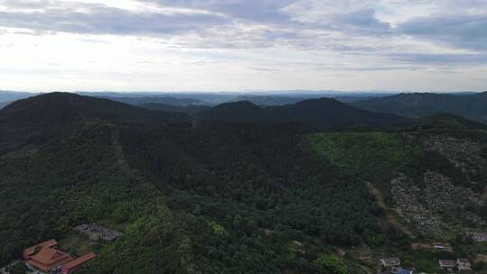 航拍绿色植物森林国家森林公园中坡山