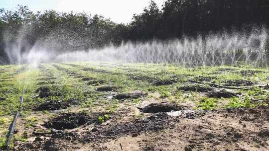 农田灌溉系统喷水滋润土地