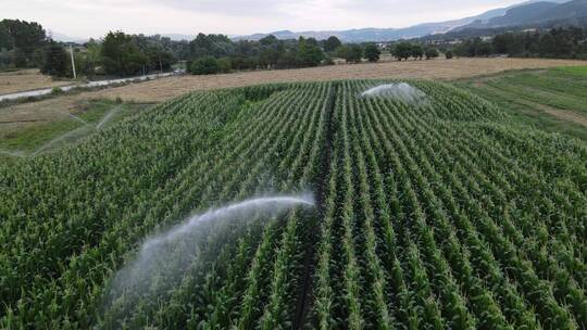农业的灌溉