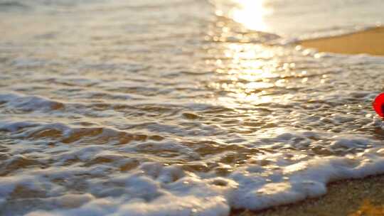 夕阳下的玫瑰花与海浪