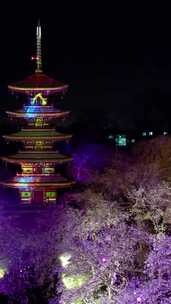 竖屏合集-武汉市东湖樱花园五重塔夜景航拍