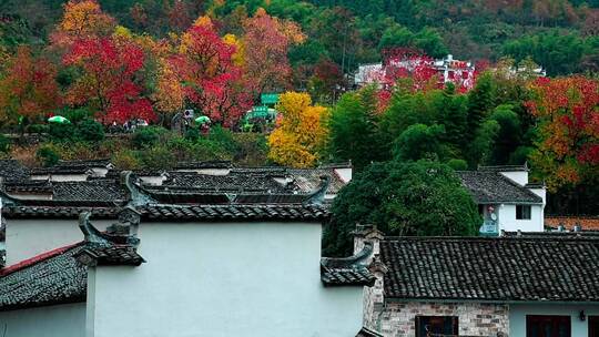 徽州古村的秋天视频素材模板下载