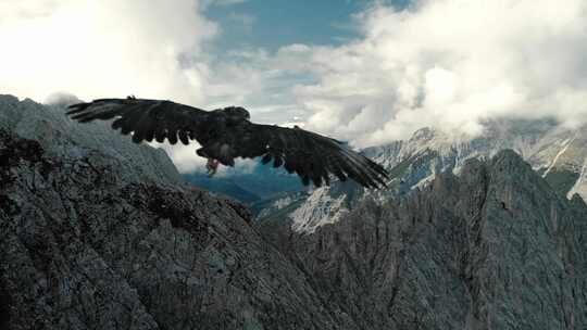 猎鹰飞越山脉