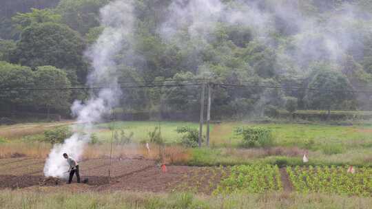 田间农民焚烧秸秆场景