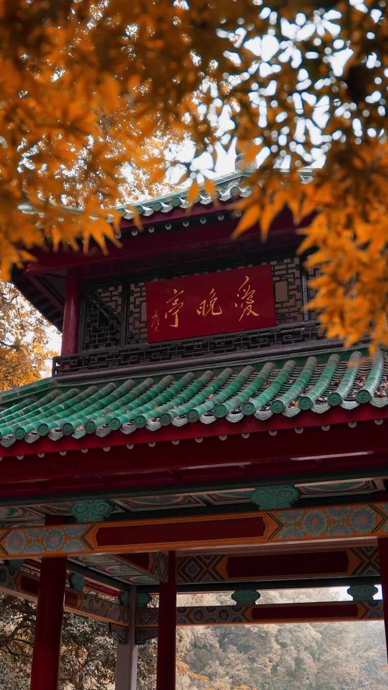 秋天岳麓山爱晚亭竖版素材