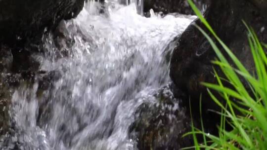 青山绿水山泉水资源