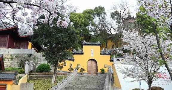 唯美春天南京古城墙鸡鸣寺樱花