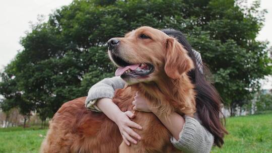 美丽女青年和宠物犬在公园里玩耍