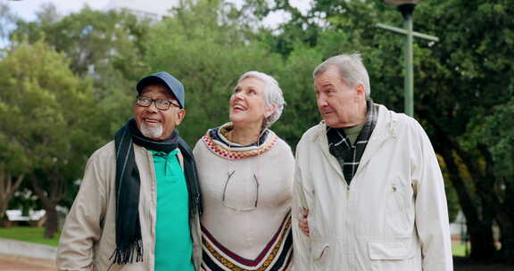 自然，谈话和老年朋友在户外公园散步，呼吸