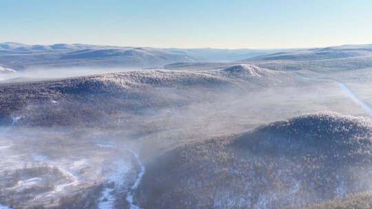 航拍冬季雾中林海雾凇视频251202-5