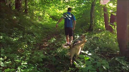 一个男人和他的狗在森林里徒步旅行