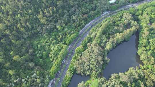 山林间道路航拍