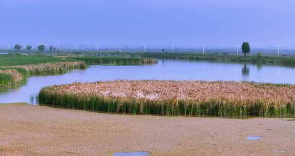 内蒙古乌粱素海风光