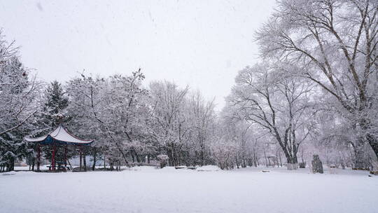 寧安公園大雪1（03.19）